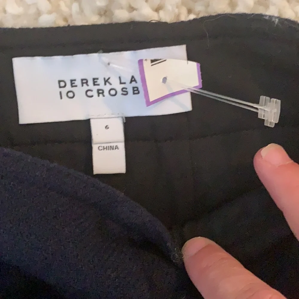 10 Crosby Derek Lam this skirt